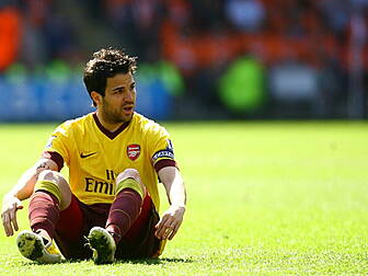 Fabregas felt 
